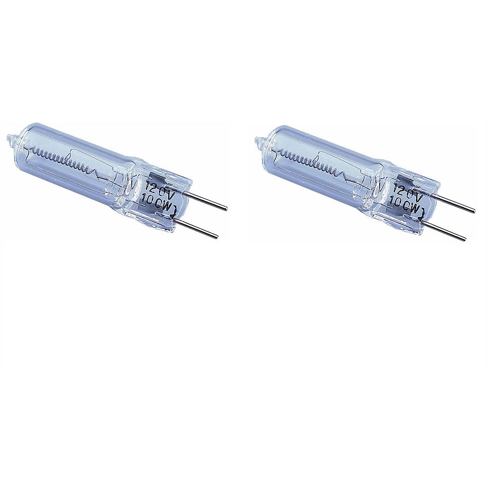 Defiant 100W Halogen Replacement Light Bulb (2-pack) | The Home Depot