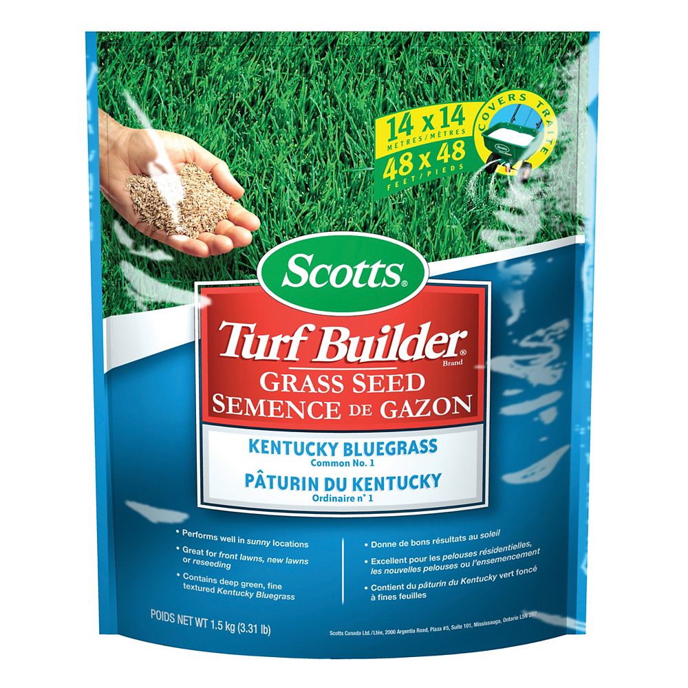 Scotts Scotts Turf Builder Kentucky Blue Grass Seed The Home Depot Canada Scotts Scotts Turf Builder Kentucky Blue Grass Seed The Home Depot Canada