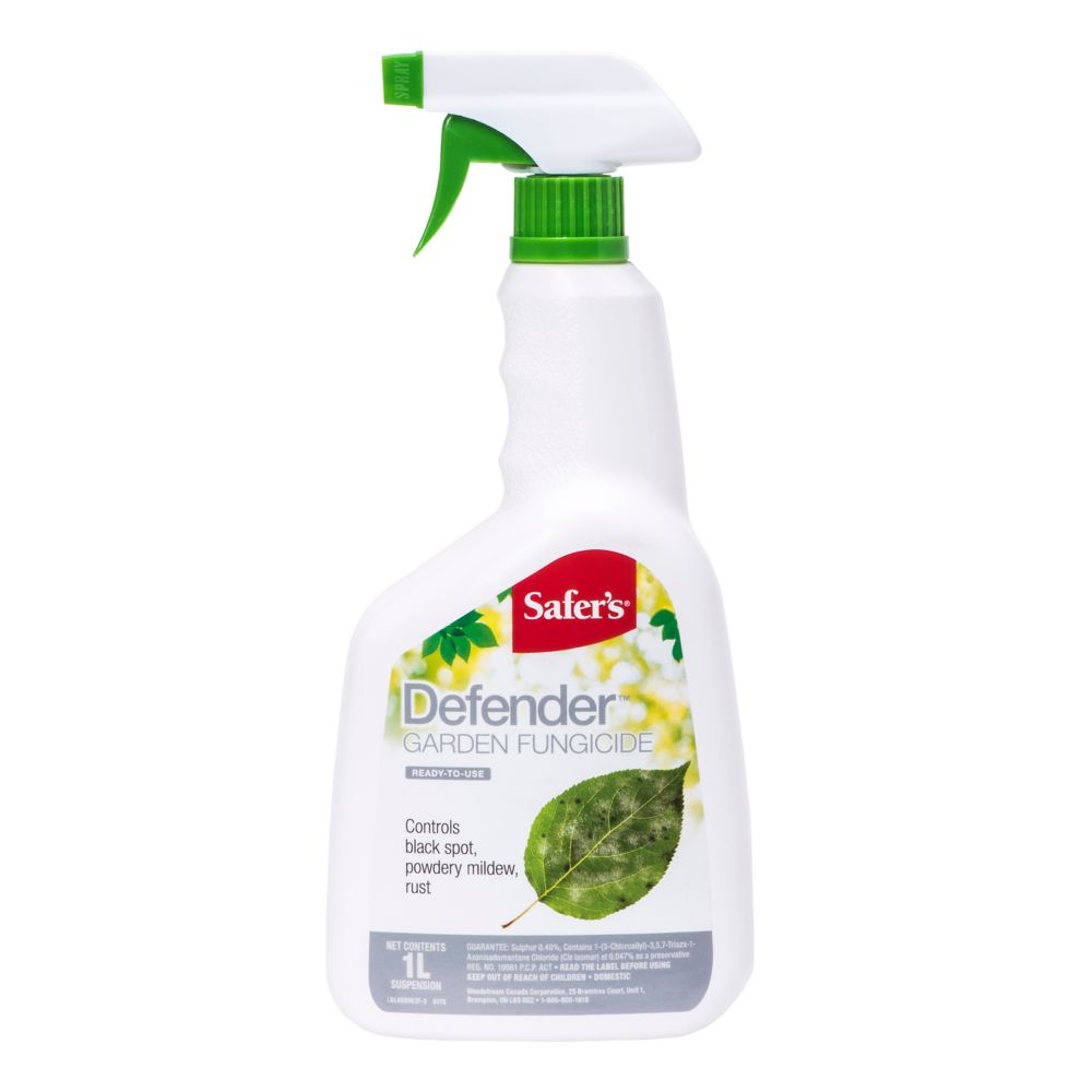 copper fungicide home depot