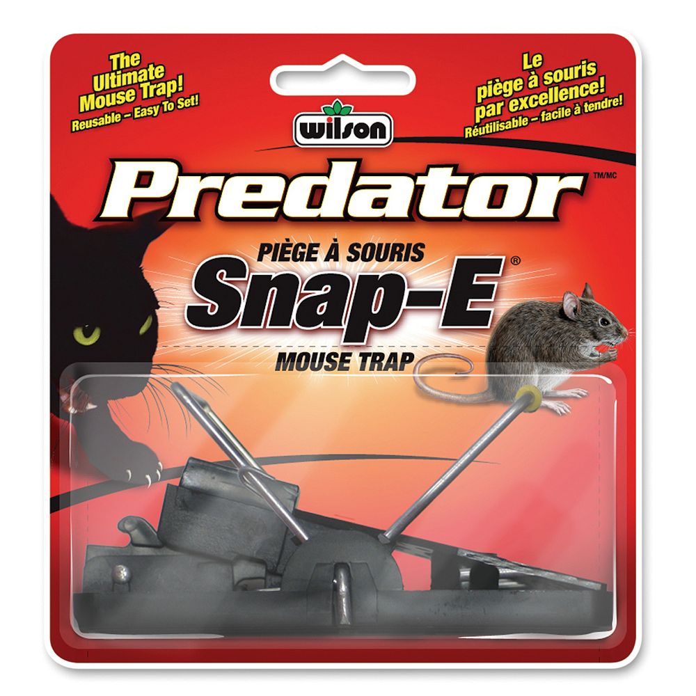 Predator Snap E Mouse Trap The Home Depot Canada