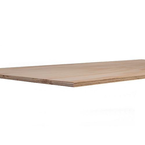 sanded plywood - plywood the home depot canada