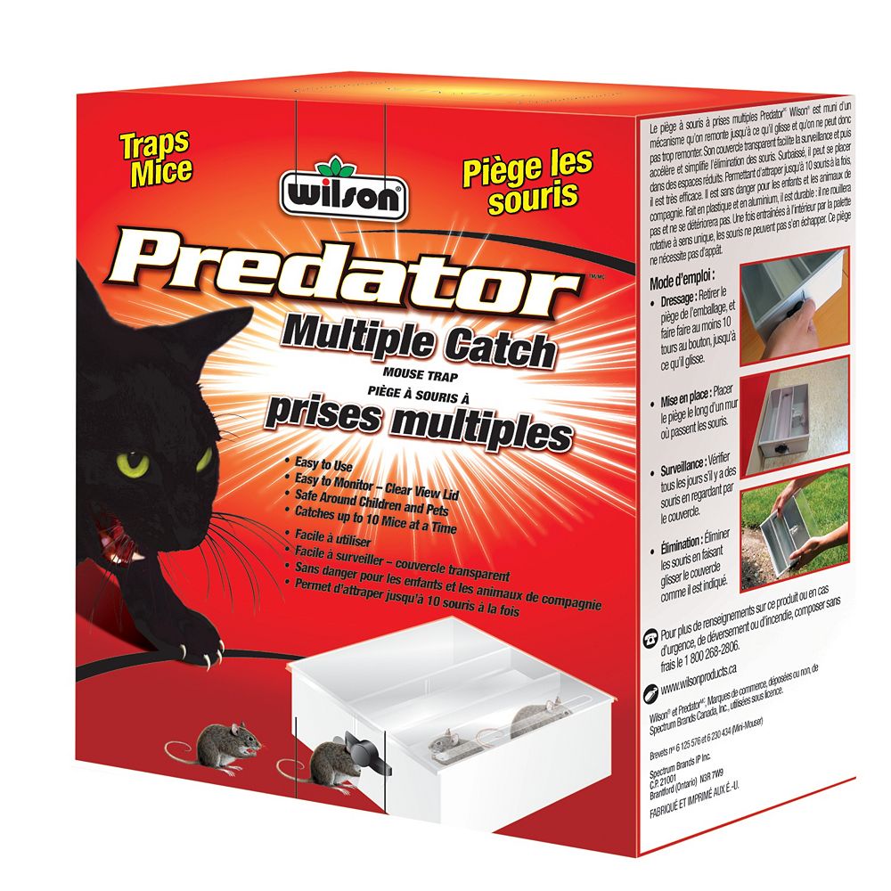 Predator Piege A Souris A Prises Multiples Predator Home Depot Canada