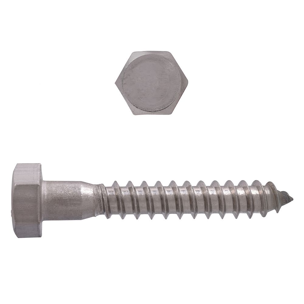 Paulin 5/16-inch x 2-inch 18.8 Stainless Steel Hex Head Lag Bolt | The Home Depot Stainless Steel Lag Bolts