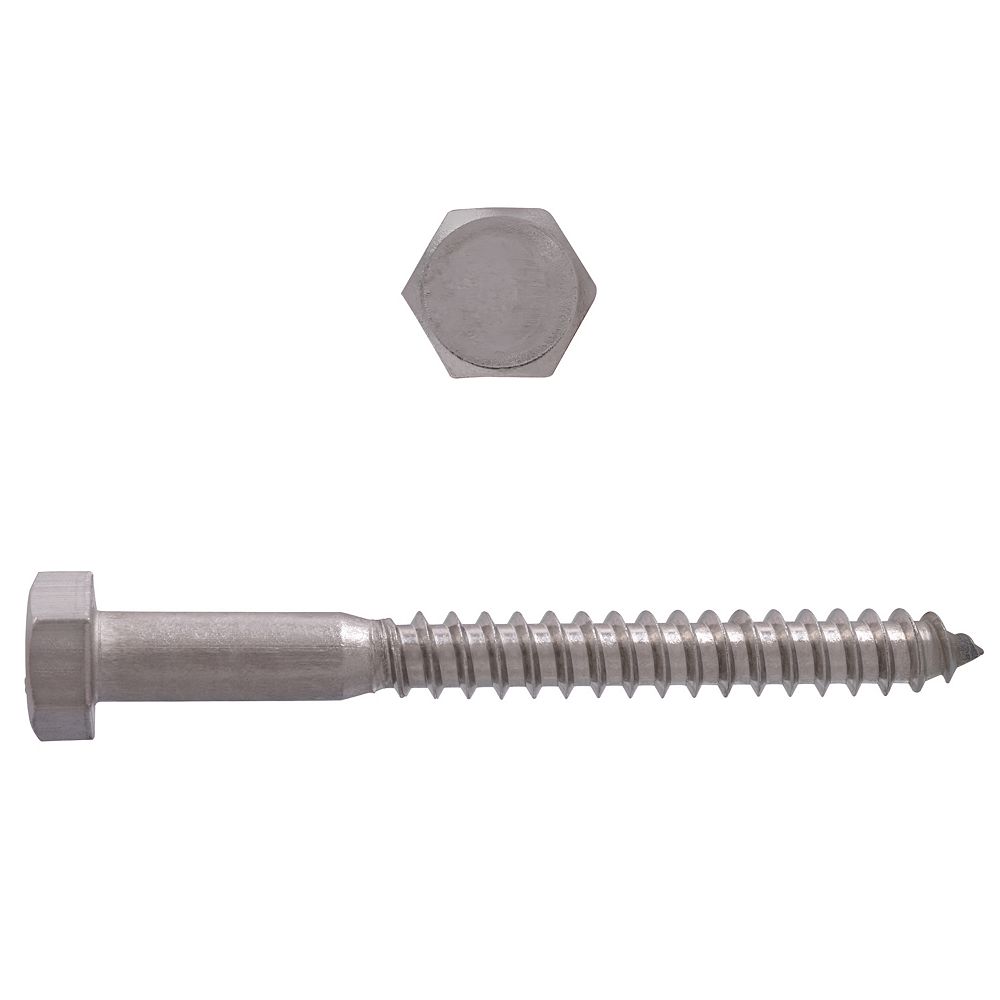 Paulin 516 Inch X 3 Inch 188 Stainless Steel Hex Head Lag Bolt The Home Depot Canada 