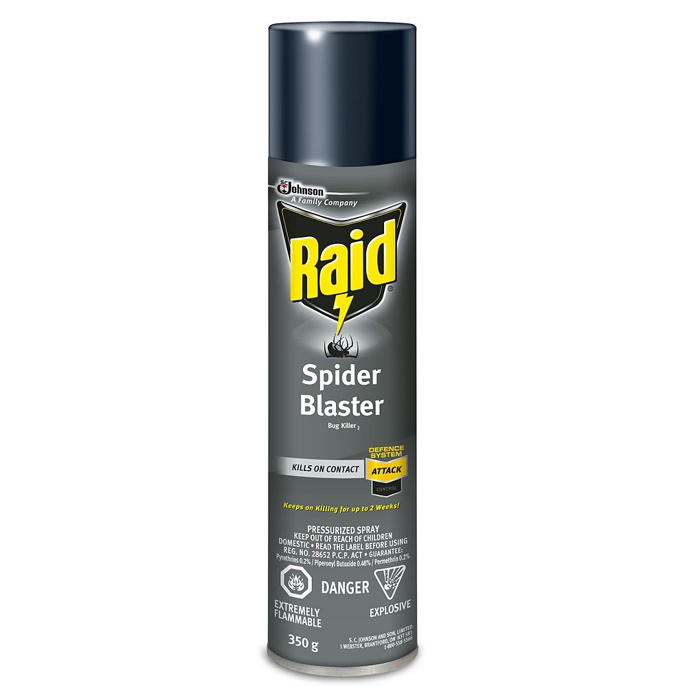 Raid Spider Blaster 350g Spider Killer The Home Depot Canada