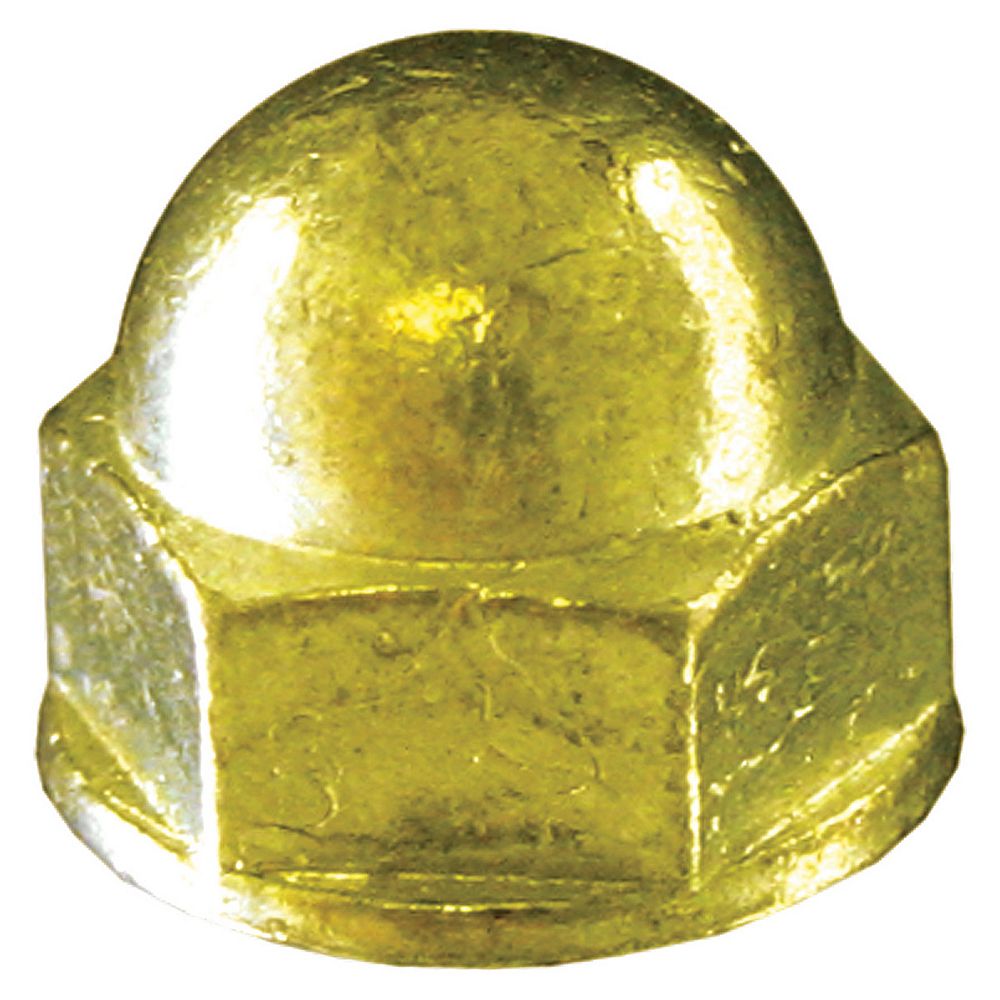 Paulin 1/4-inch-20 Brass Acorn Nut | The Home Depot Canada