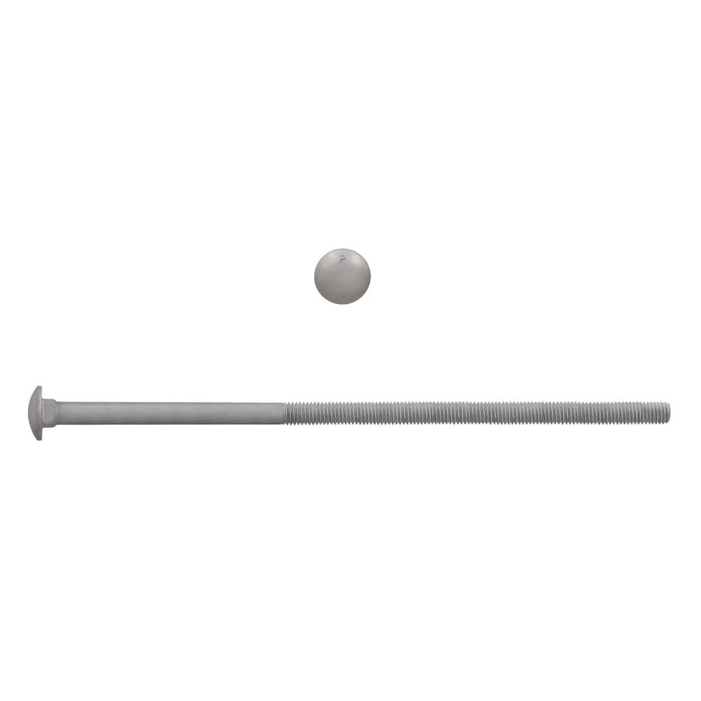 3/8-16 X 10 Inch Hot Dip Galvanized Round Head Bolts 3/8-16 X 10 Inch Carriage Bolts | Hot Dip Galvanized Round Head | 40-Piece Box Hot Dip Galvanized Carriage Bolts 3/8-16