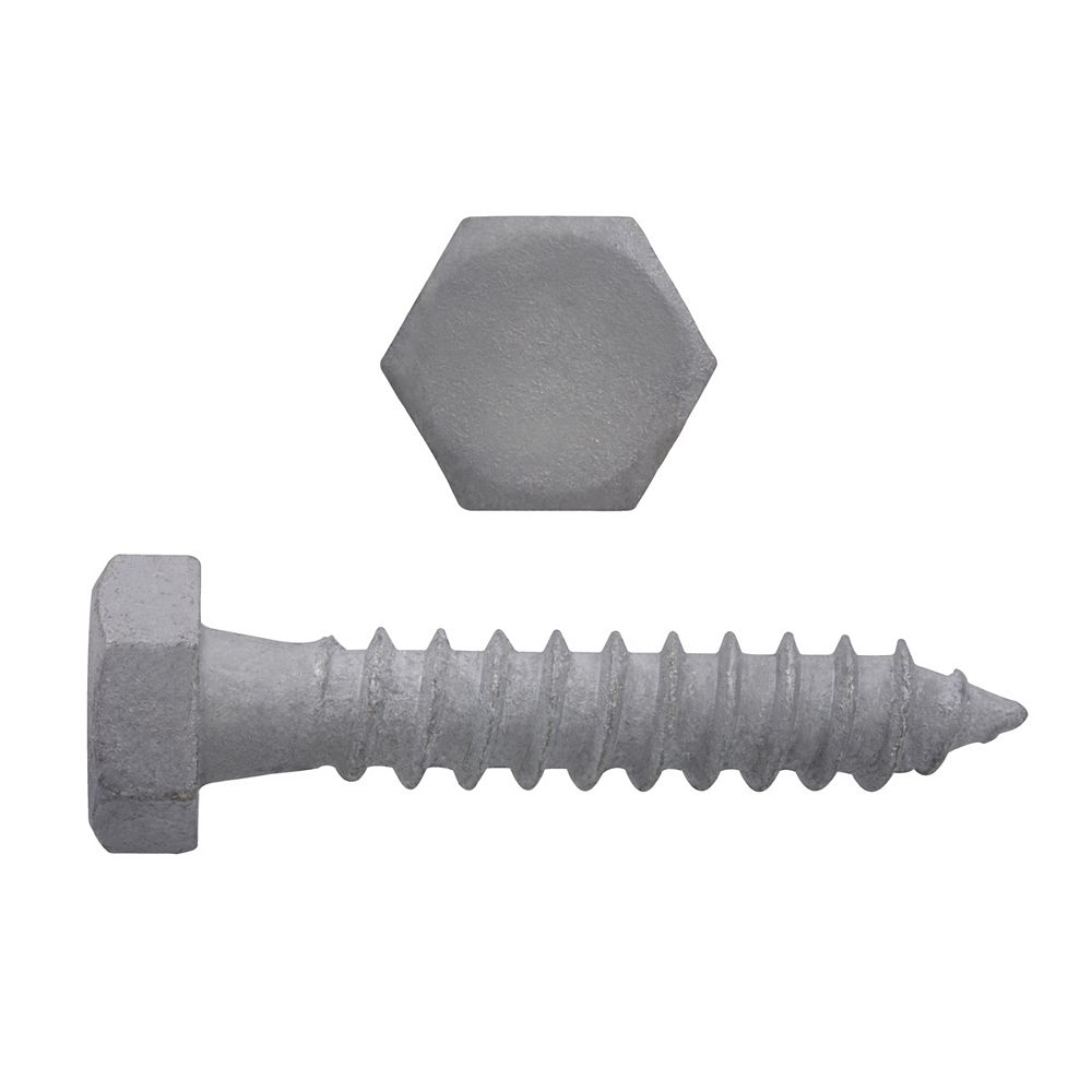 Paulin 516 Inch X 1 12 Inch Hex Head Lag Bolt Hot Dipped Galvanized The Home Depot Canada 