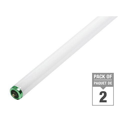 75W T12 96-inch Daylight (6500K)Fluorescent Light Bulb (2-Pack)