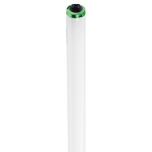 Fluorescent 95W T12 96" Cool White (4100K) HO