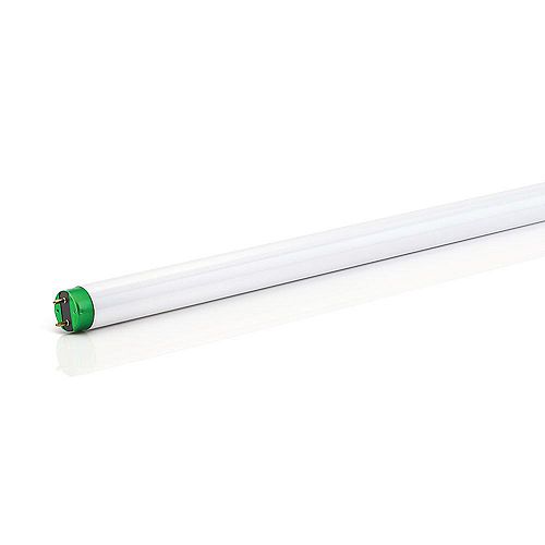 Fluorescent 30W T8 36" Cool White (4100K)