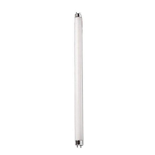 15W T8 18-inch Cool White (4100K) Fluorescent Light Bulb