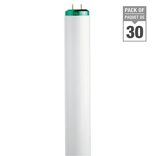 40W Cool White 48 inch T12 Fluorescent Light Bulb (30-pack)