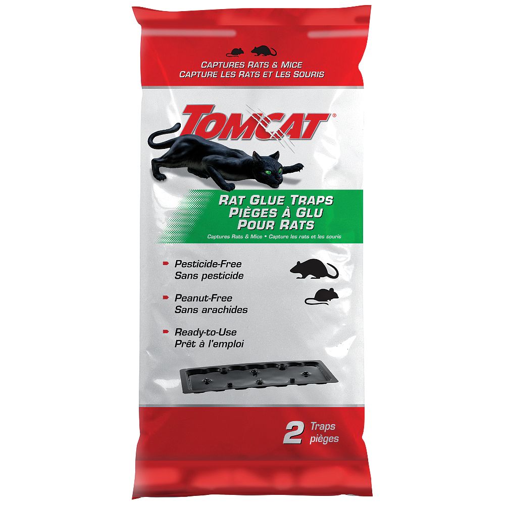 Tom Cat Tomcat Rat Glue Trap The Home Depot Canada