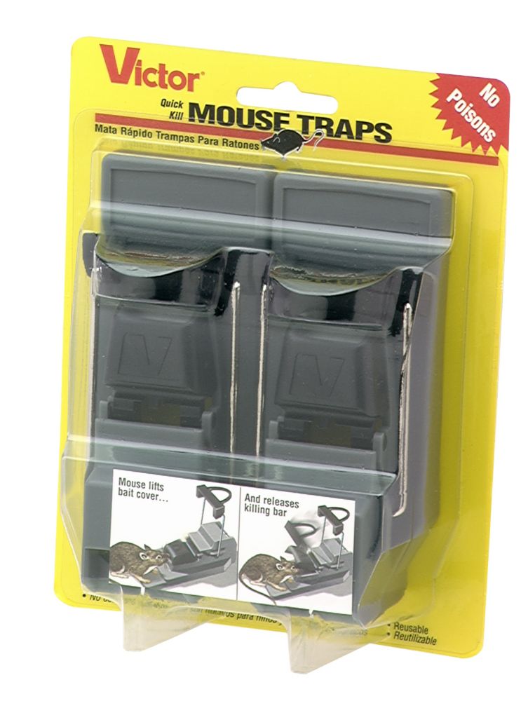 quick mouse trap