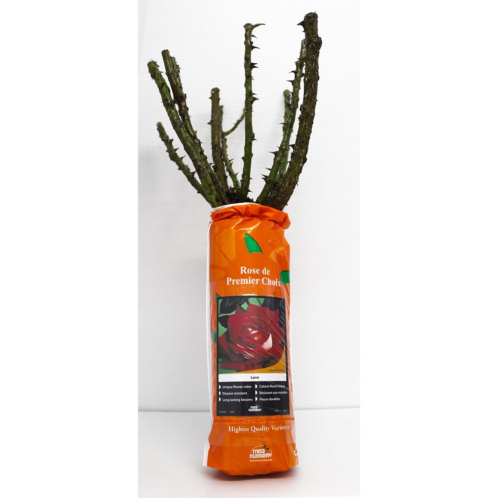 Landscape Basics 1 Packaged Rose The Home Depot Canada