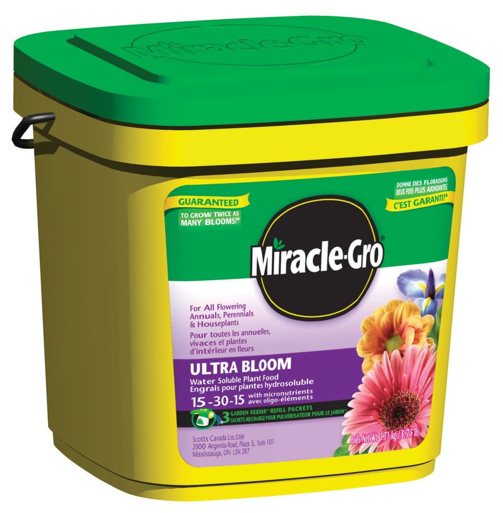 Miracle-Gro 1.71 Kg Water Soluble Ultra Bloom Plant Food | The Home ...