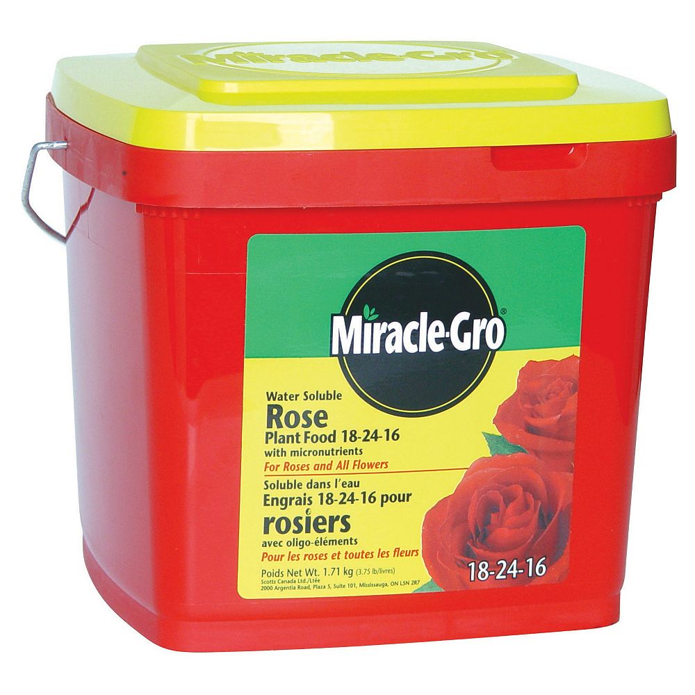 miracle-gro-1-71-kg-water-soluble-rose-plant-food-the-home-depot-canada