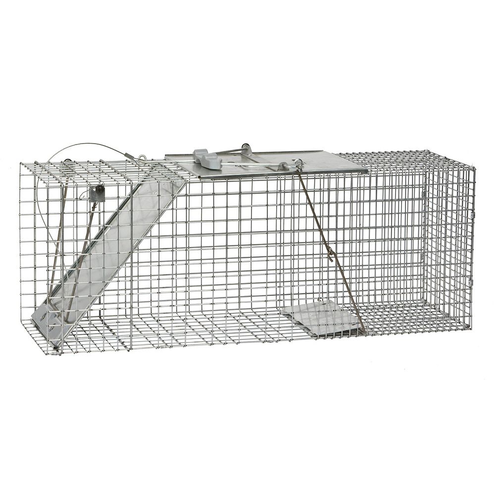 Havahart Easy Set Large 1 Door Animal Trap The Home Depot Canada
