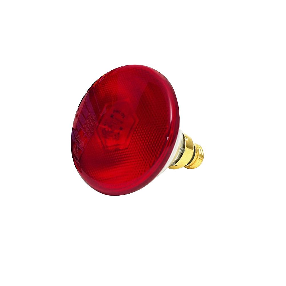 Philips 175w Par38 Heat Lamp Clear Hard Glass The Home Depot Canada Philips 175w Par38 Heat Lamp Clear Hard, Bathroom Heat Lamp Bulb Home Depot