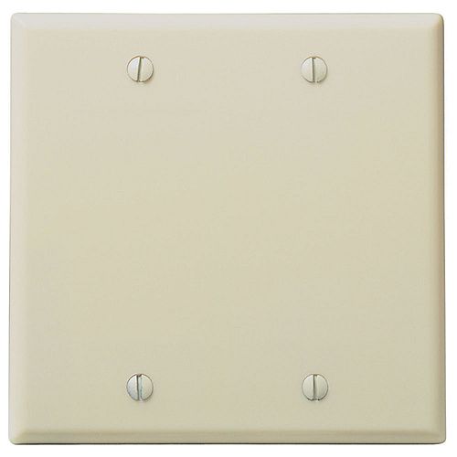 Double Blank Wall Plate - Ivory