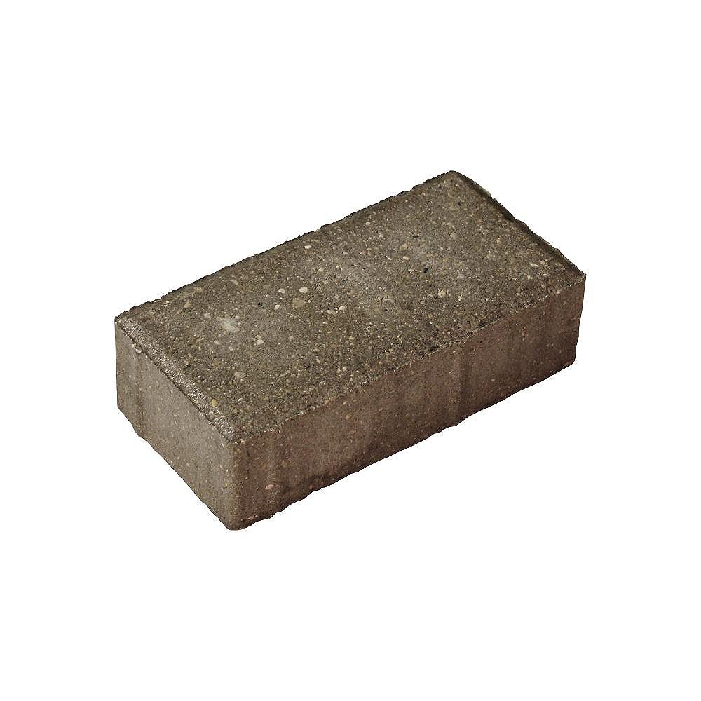 Barkman 8-inch x 4-inch Holland Paver in Natural | The Home Depot Canada