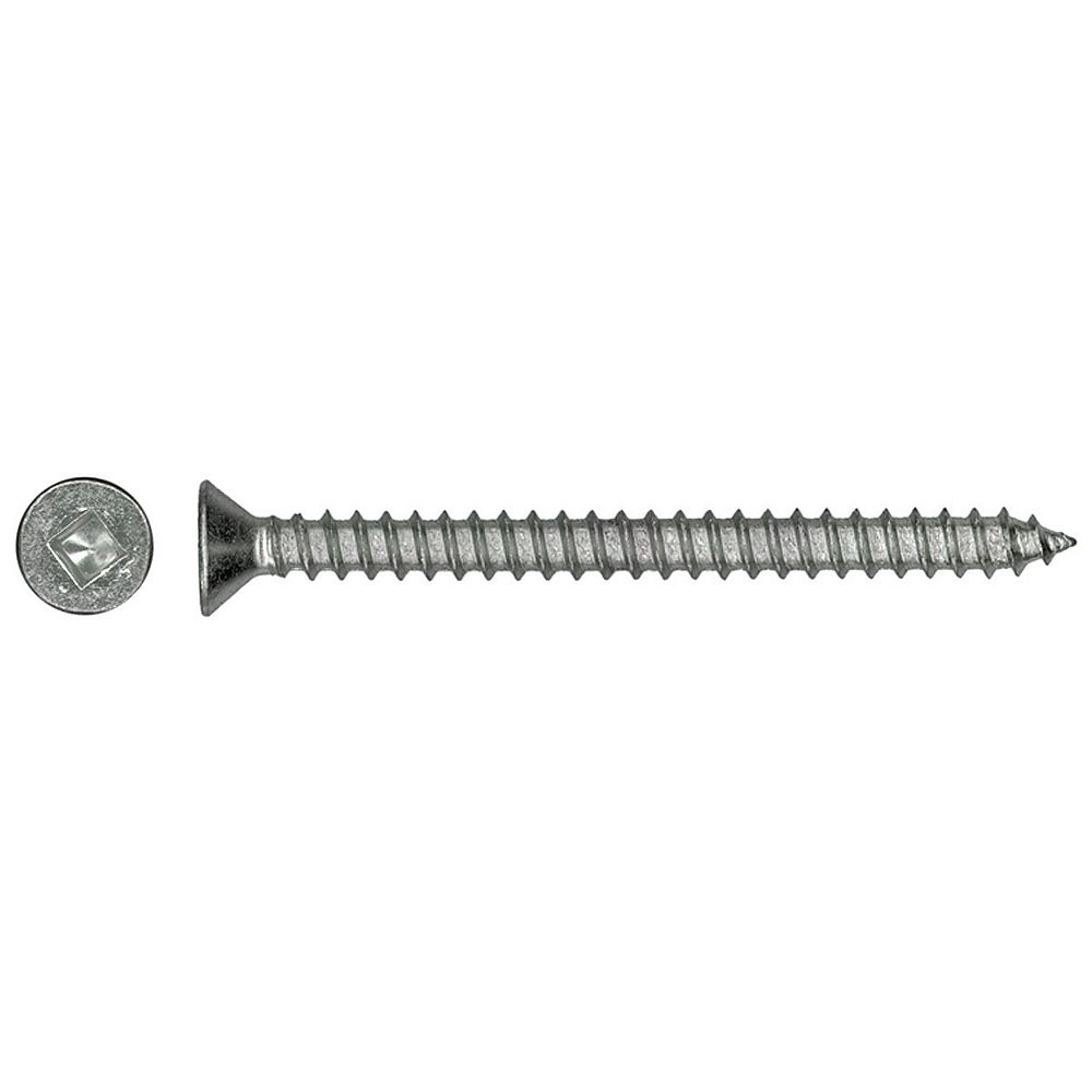 Paulin 8 X 1 14 Inch 188 Stainless Steel Flat Head Square Drive Tapping Screw The Home 