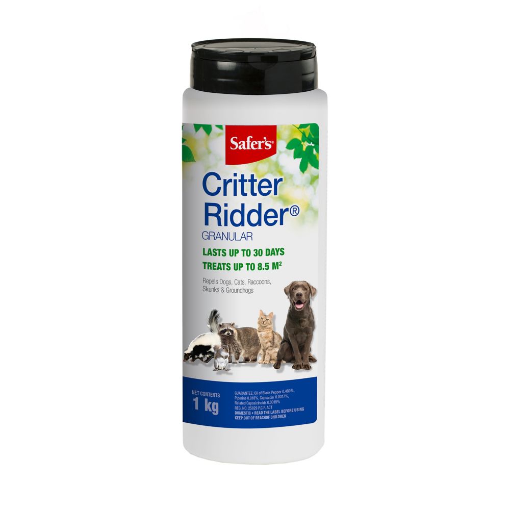dog and cat repellent home depot