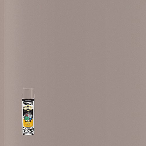 Silver Spray Paint & Accessories Paint The Home Depot Canada