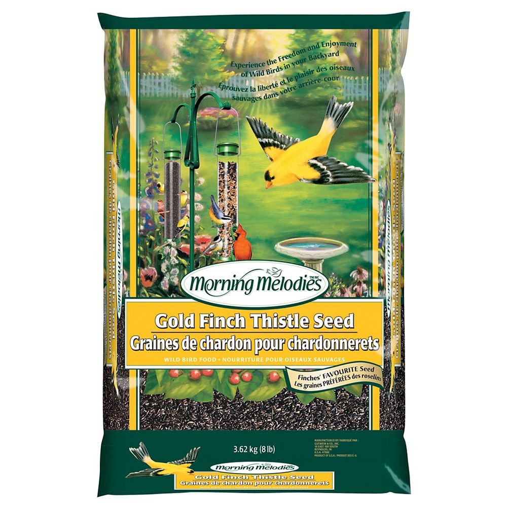 Morning Melodies Graines de Chardon pour Chardonnerets 3, 63 kg Home Depot Canada