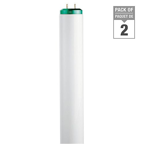 20W T12 24-inch Daylight (6500K) Fluorescent Light Bulb (2-Pack)