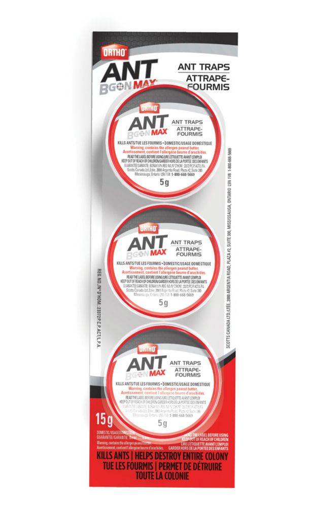 ant traps outdoor