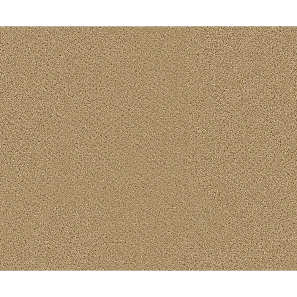 beaulieu-canada-bayhem-ecru-carpet-per-sq-feet-the-home-depot-canada