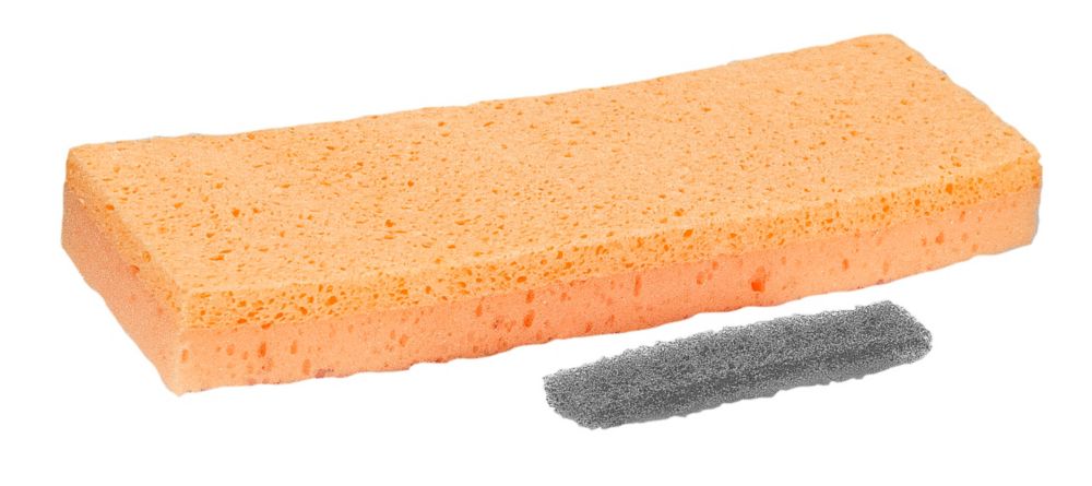 how to keep sponges clean