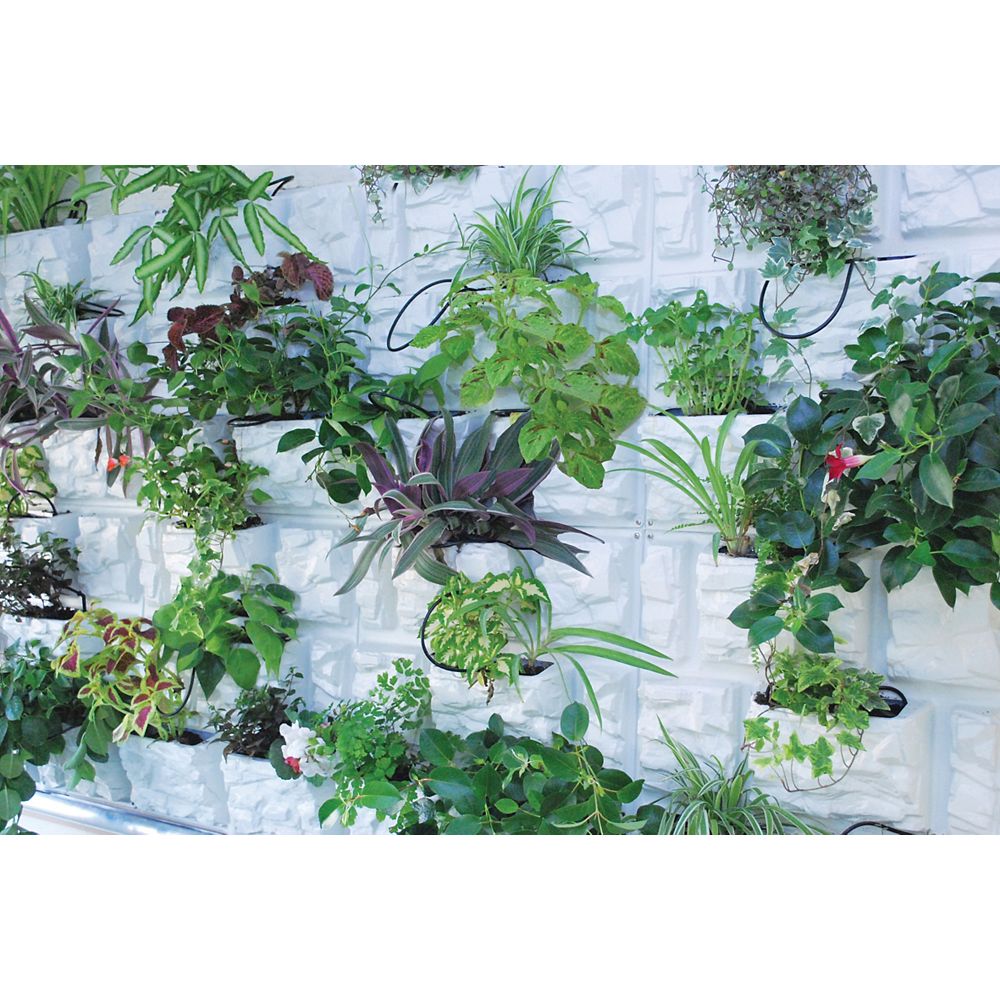 Home Depot Canada Indoor Plants - Home Decor