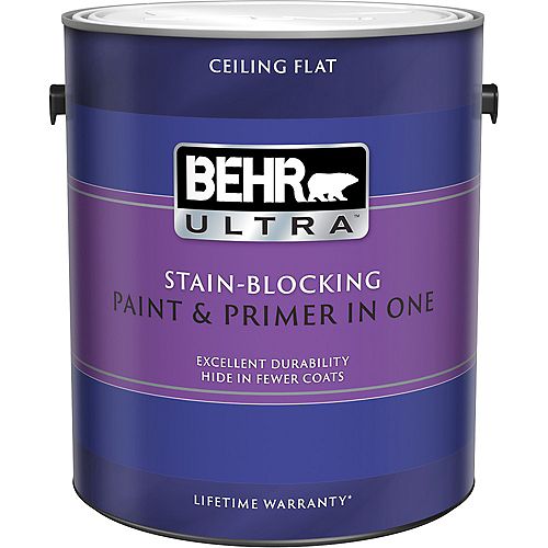 Stain Blocking Ceiling Paint, 3.79L