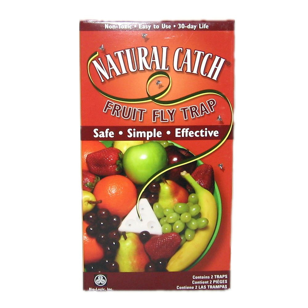 Natural Catch Fruit Fly Trap The Home Depot Canada