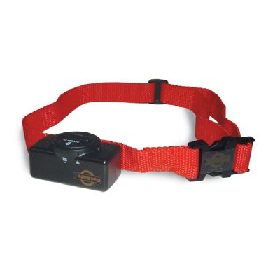 petsafe 1000 collar