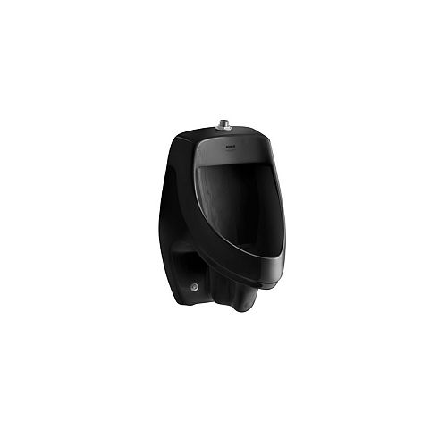 Dexter(Tm) Elongated Urinal in Black Black