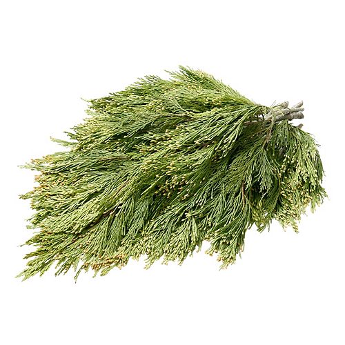 Fresh Cut Decorative Boughs (Assorted Styles)