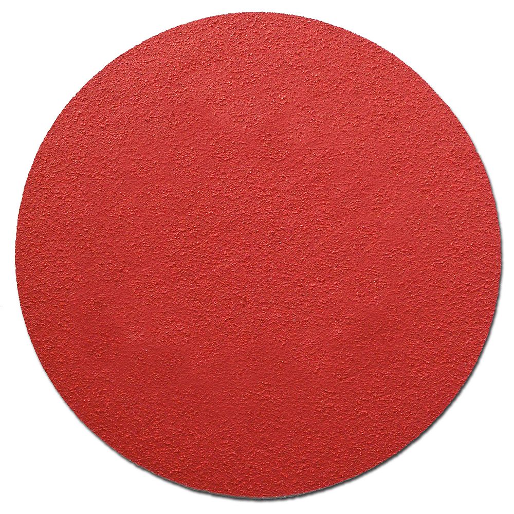 Diablo 6inch Premium Sanding Discs (120 Grit) The Home Depot Canada