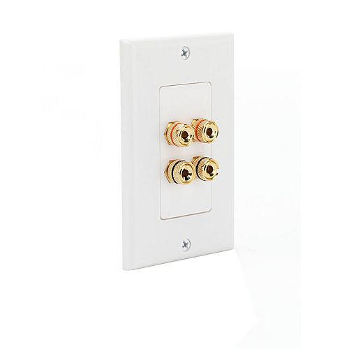 Speaker Wall Plate With 4 Binding Posts