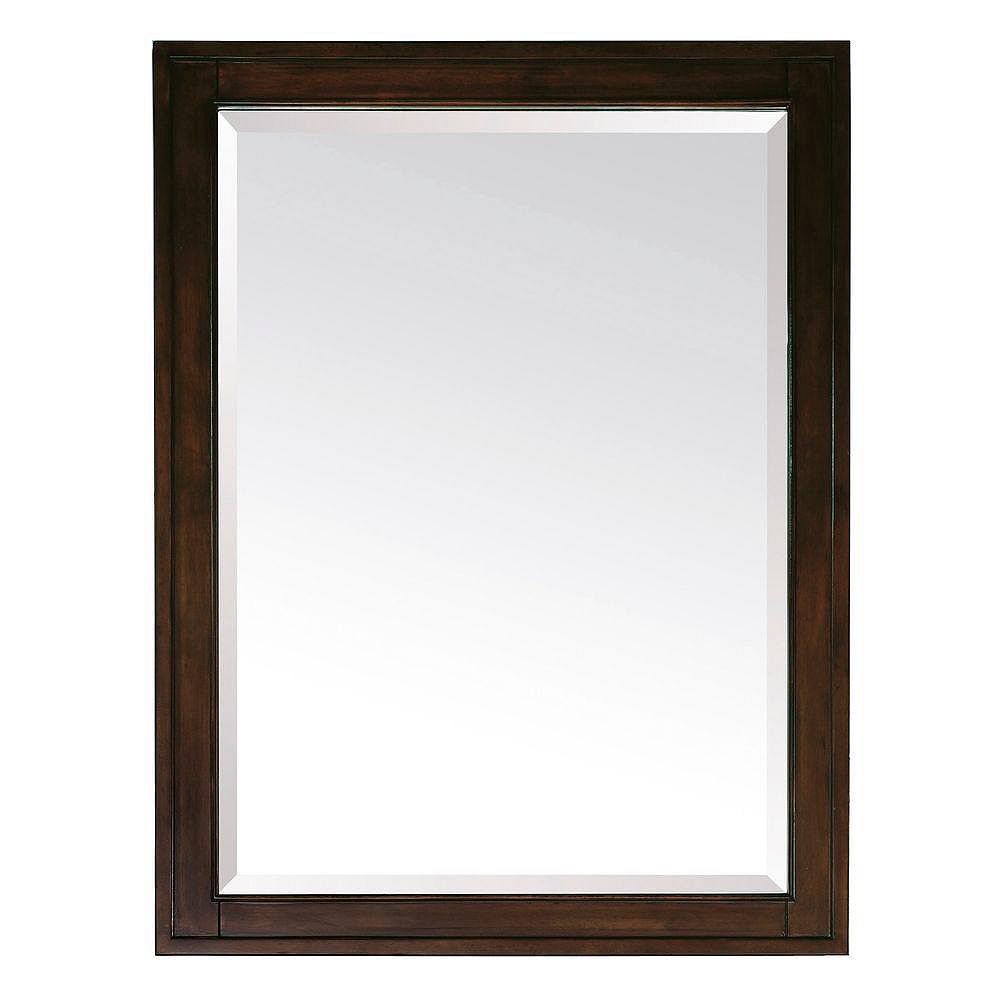 Avanity Madison 24inch x 32inch Mirror in Light Espresso The Home