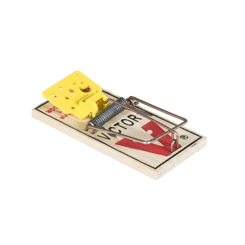 where can i find mouse traps