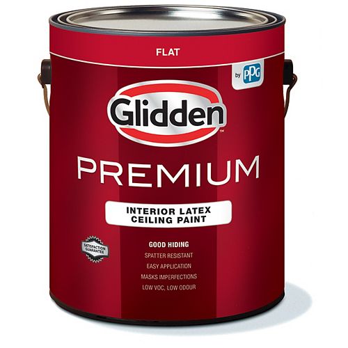 Interior Ceiling Paint 3.78 L