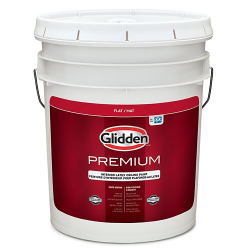 Interior Ceiling Paint 18.9 L