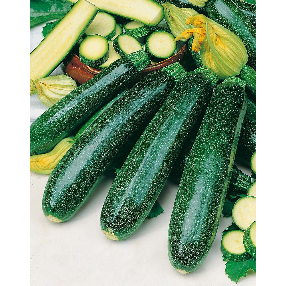 Mr. Fothergill's Seeds Squash Zucchini Dark Green Seeds The Home