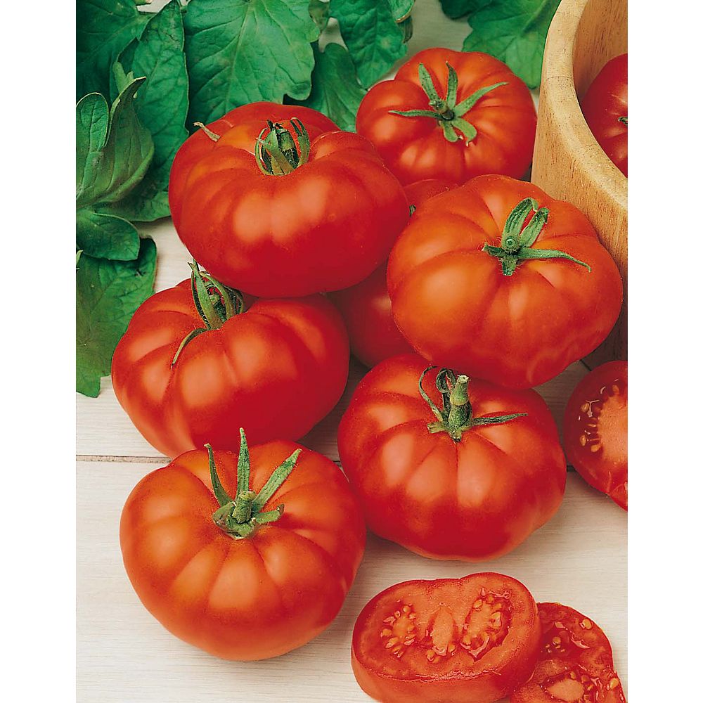 Mr. Fothergill's Seeds Tomato Beefsteak (Marmande) Seeds The Home
