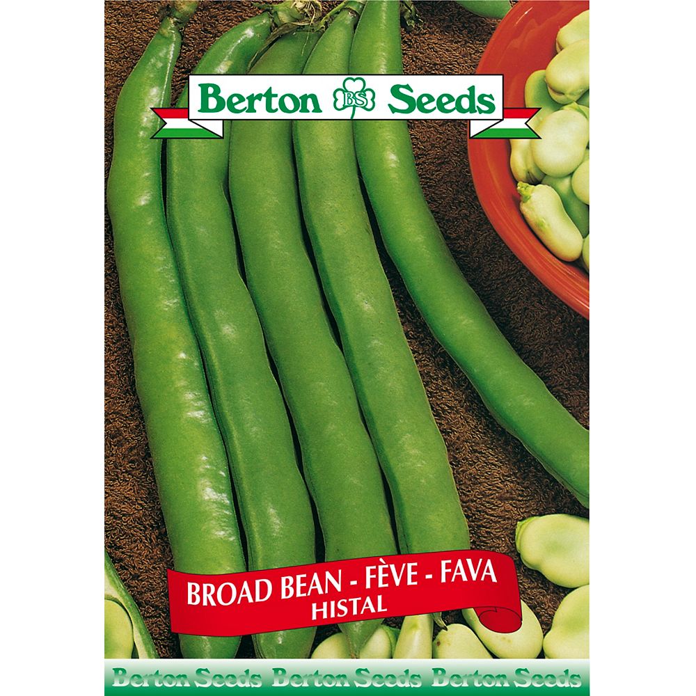 Berton Seeds Co. Limited Broad Bean Seeds The Home Depot Canada