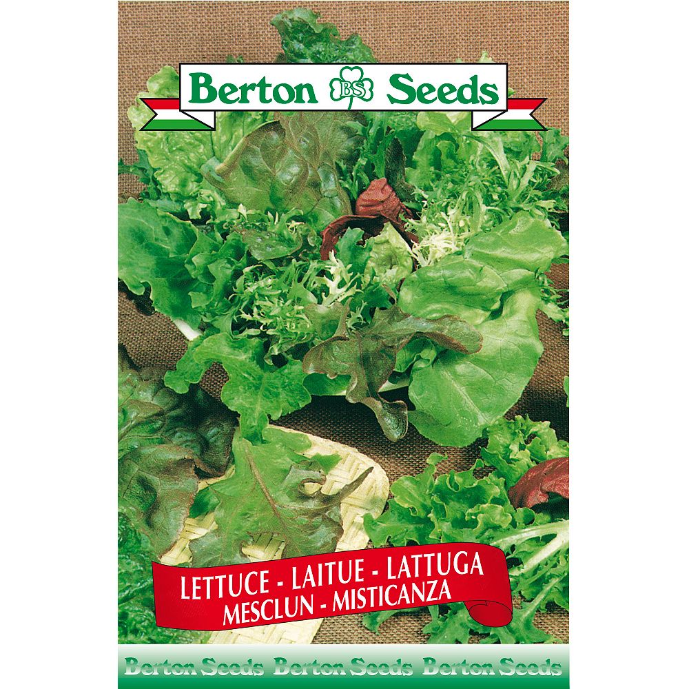 Berton Seeds Co Limited Lettuce Mesclun Seeds The Home Depot Canada